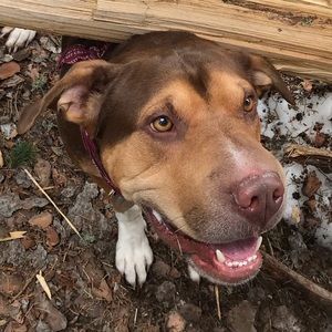 Meet your Posher, Lyndsey